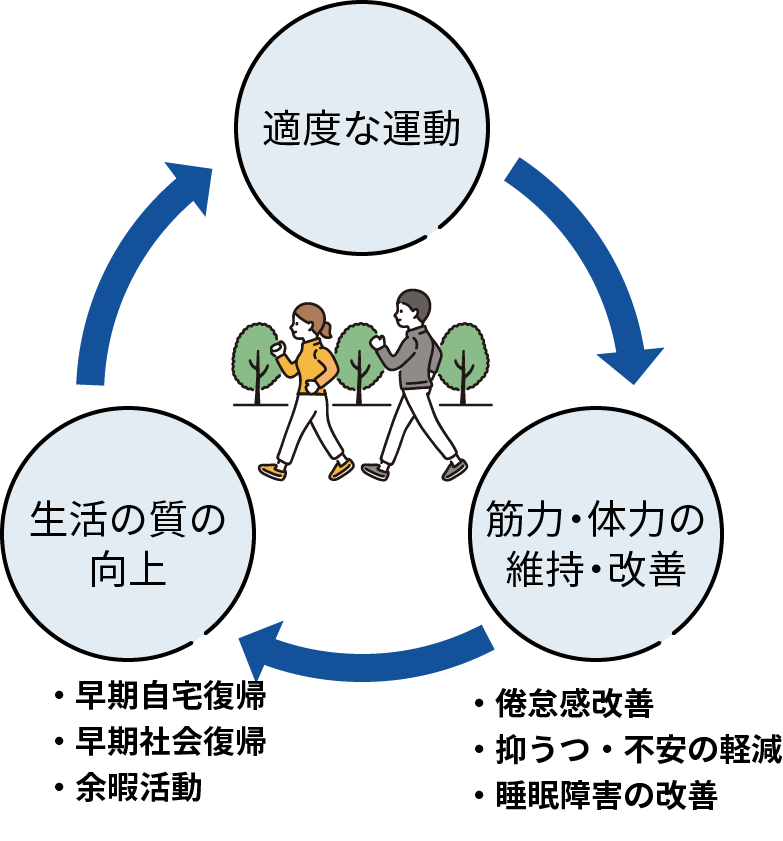 図：適度な運動を行うことで、筋力や体力の維持と改善につながる。倦怠感改善、抑うつや不安の軽減、睡眠障害の改善など効果がある。筋力や体力の維持と改善によって、生活の質が向上し、早期自宅復帰や早期社会復帰、余暇活動につながる。生活の質の向上によって再び適度な運動につながると好循環を保つことができる。