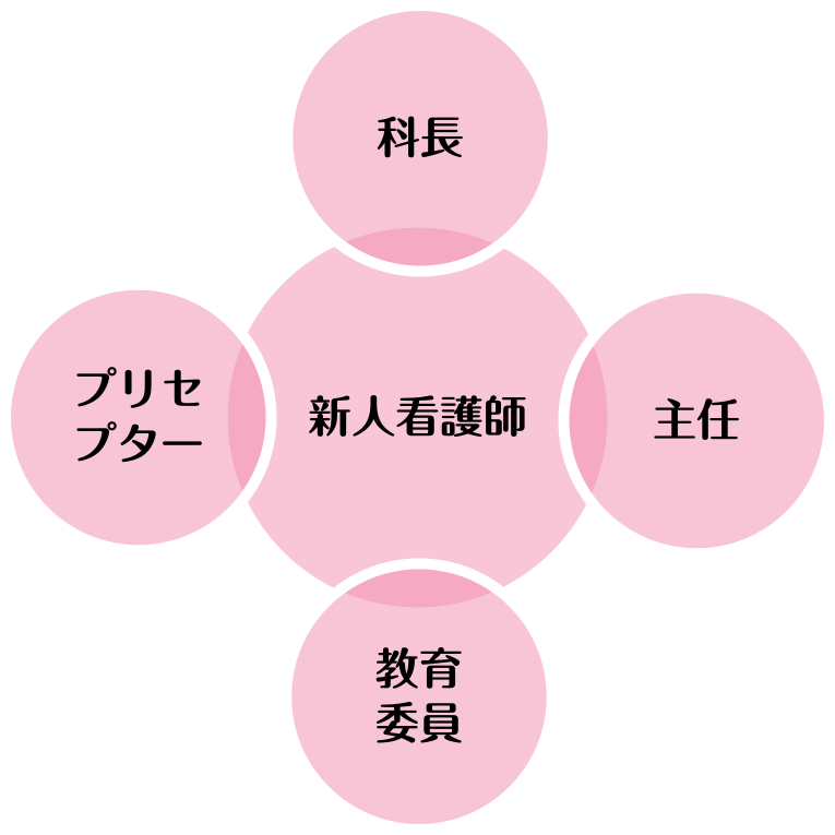 図：新人看護師研修では、科長、主任、教育委員、プリセプターが関わっている。