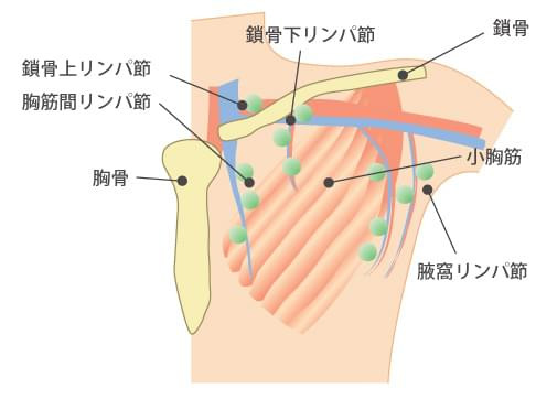 リンパ節の図