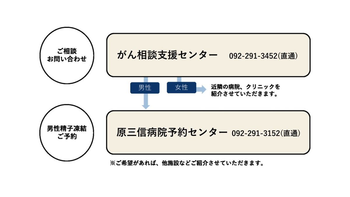 図：相談窓口の連絡先について表した図。ご相談・お問い合わせは、がん相談支援センターへ電話番号092-291-3452までおかけください。女性のご相談者の場合は近隣の病院、クリニックを紹介させていただきます。男性の場合や男性精子凍結のご予約は、原三信病院へ電話番号092-291-3434までおかけください。ご希望があれば、他施設などご紹介させていただきます。
