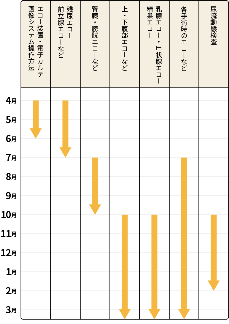 図：超音波検査科の1年目新人教育スケジュール。エコー装置、電子カルテ、画像システム操作方法は4月から5月まで。残尿エコー、前立腺エコーなどは4月から6月まで。腎臓、膀胱エコーなどは7月から9月まで。上・下腹部エコーなどや乳腺エコー、甲状腺エコー、精巣エコーは10月から来年3月以降も続く。各手術時のエコーなどは7月から来年3月以降まで続く。尿流動態検査は10月から1月まで。