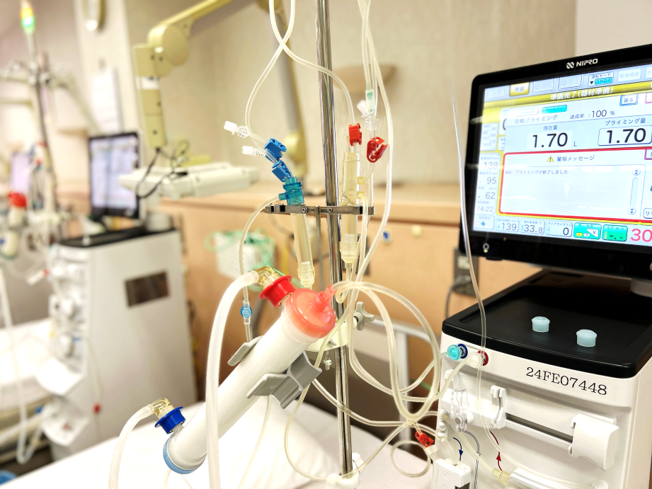 【画像の説明1】